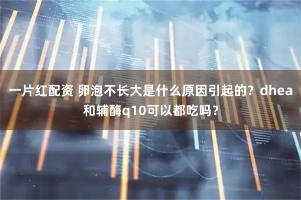 一片红配资 卵泡不长大是什么原因引起的?dhea和辅酶q10可以都吃吗?