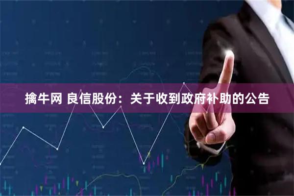 擒牛网 良信股份：关于收到政府补助的公告