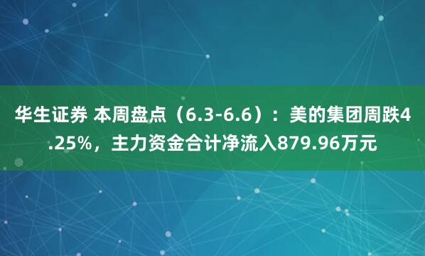 华生证券 本周盘点（6.3-6.6）：美的集团周跌4.25%，主力资金合计净流入879.96万元