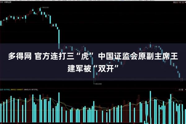 多得网 官方连打三“虎” 中国证监会原副主席王建军被“双开”