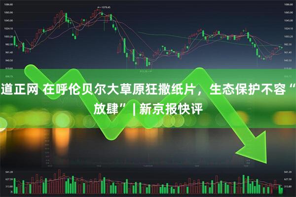 道正网 在呼伦贝尔大草原狂撒纸片，生态保护不容“放肆” | 新京报快评